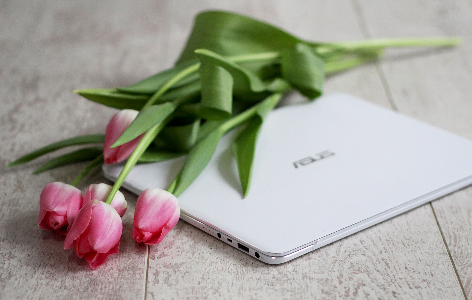 Asus ZenBook UX305CA отзыв обзор цена купить