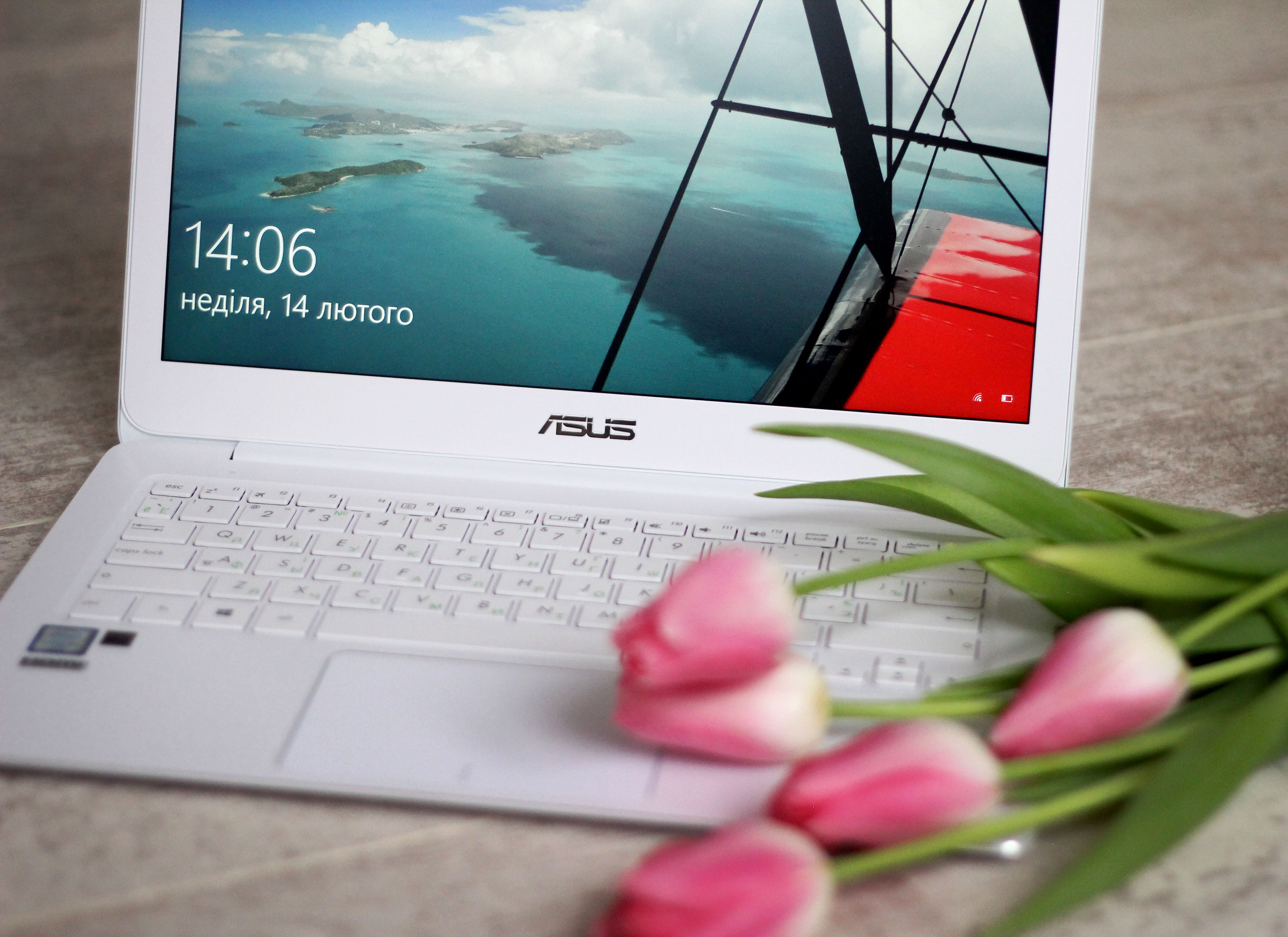 Asus ZenBook UX305CA отзыв обзор цена купить